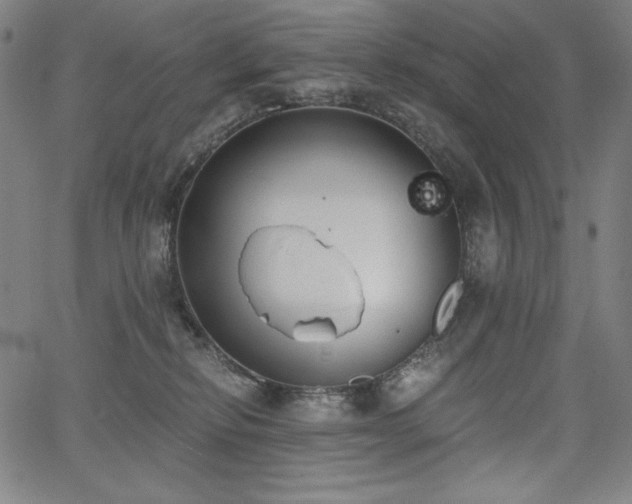 X0000068260278200604211052