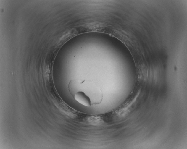 X0000068260279200604211052