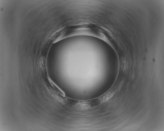 X0000068260280200604211052