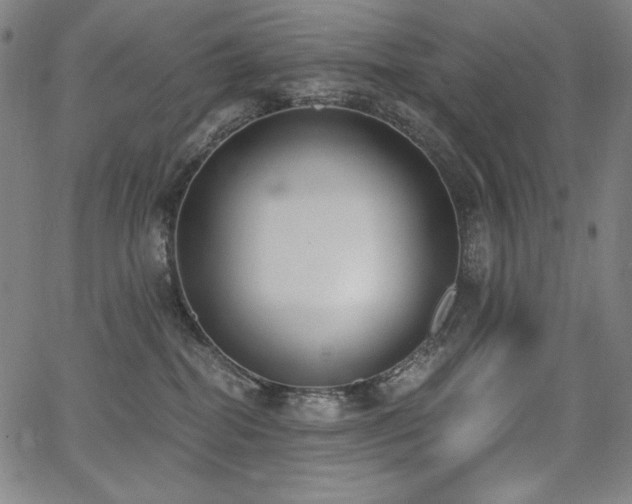 X0000068260282200604211052