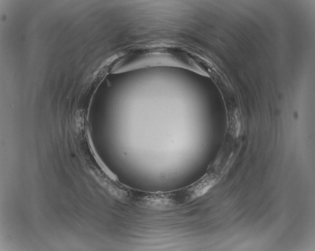 X0000068260284200604211052