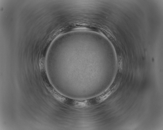 X0000068260285200604211052