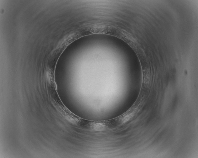 X0000068260287200604211052