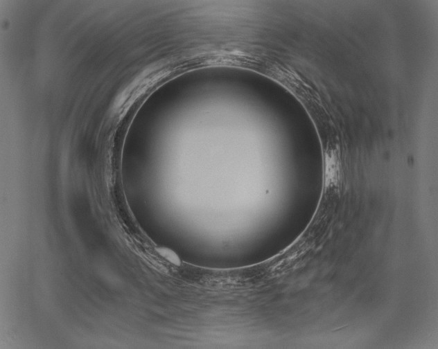 X0000068260291200604211052