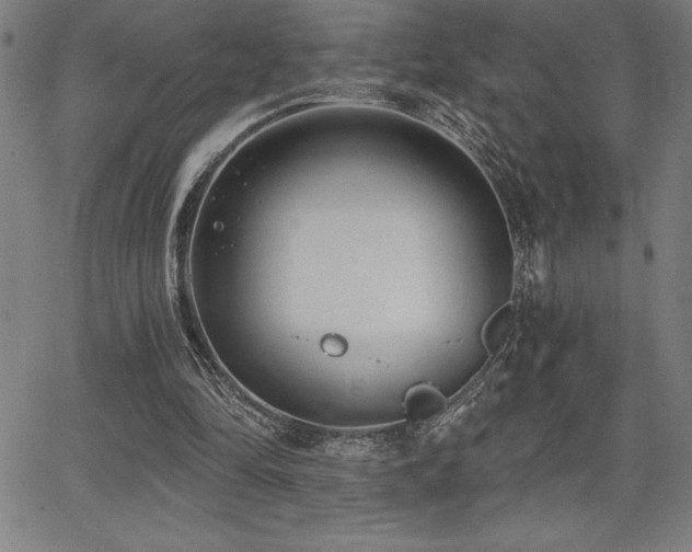 X0000068260294200604211052