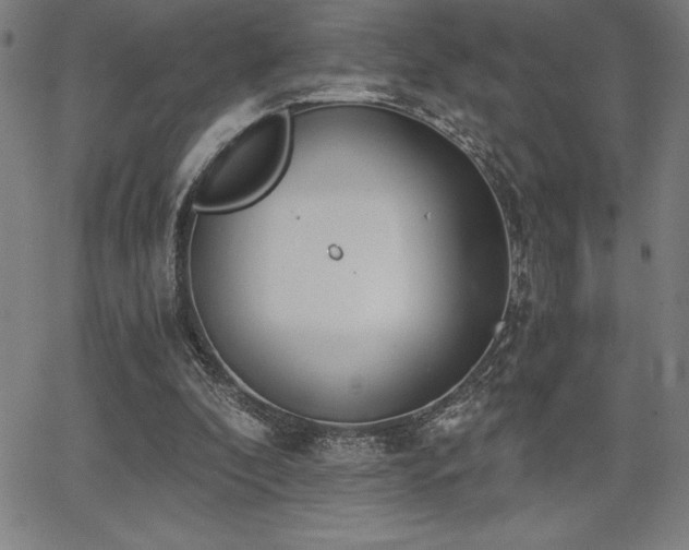 X0000068260296200604211051