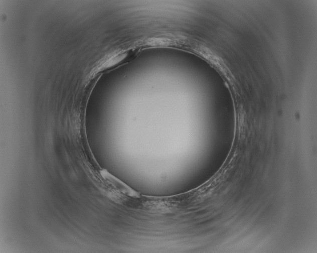 X0000068260297200604211051