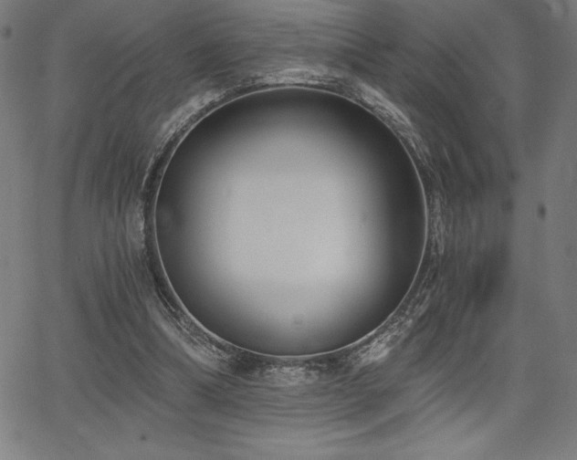 X0000068260298200604211051