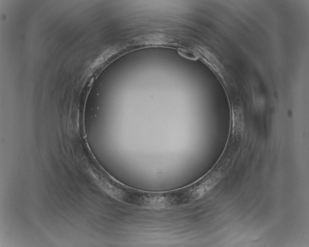 X0000068260301200604211051