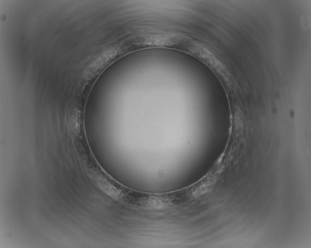 X0000068260305200604211051