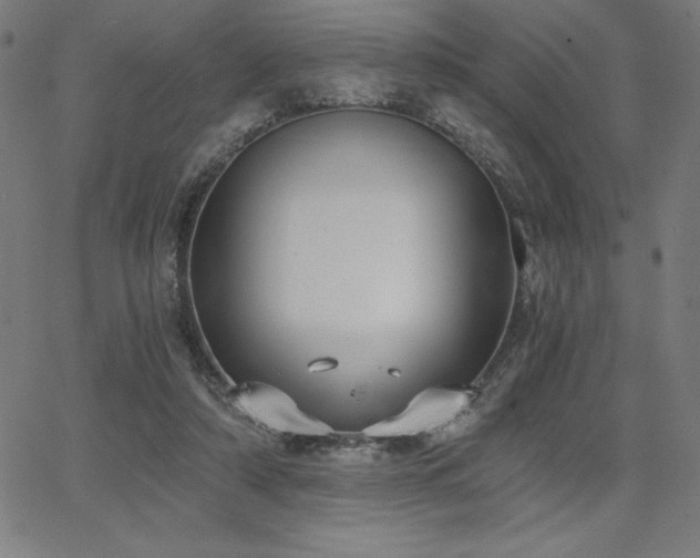 X0000068260306200604211051