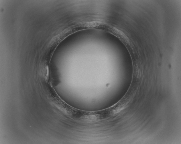 X0000068260307200604211051