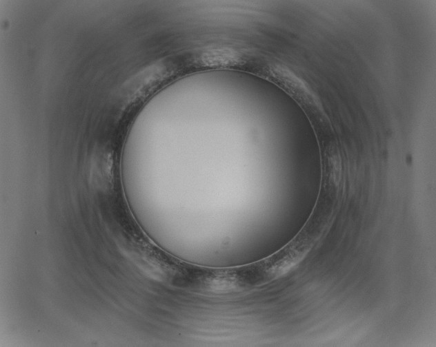 X0000068260308200604211051