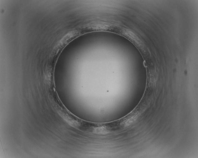 X0000068260309200604211051