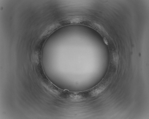 X0000068260311200604211051