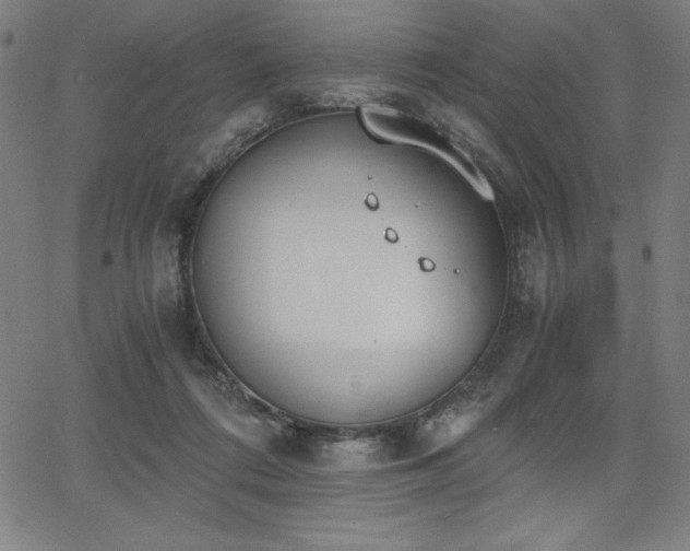 X0000068260312200604211051