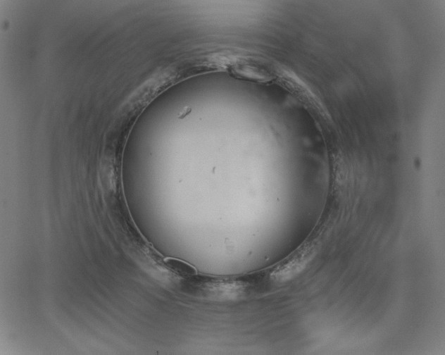 X0000068260313200604211051