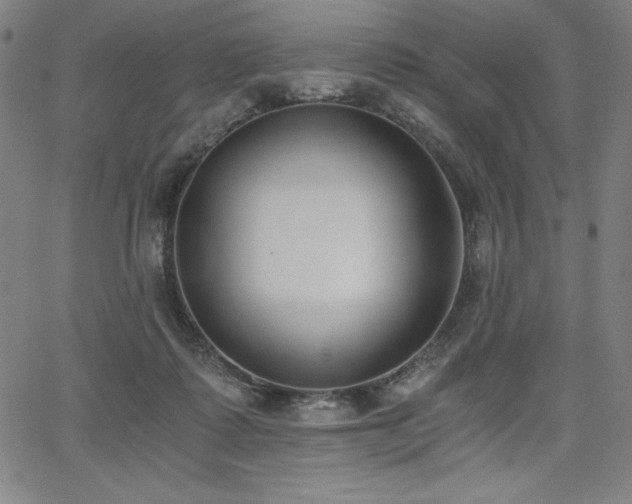 X0000068260315200604211051