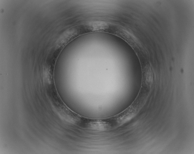 X0000068260316200604211051