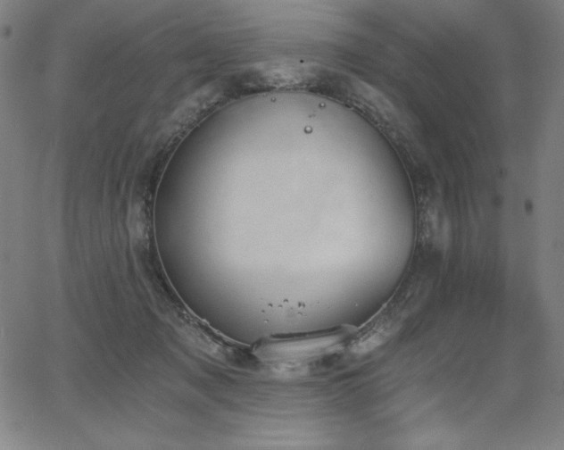 X0000068260317200604211051