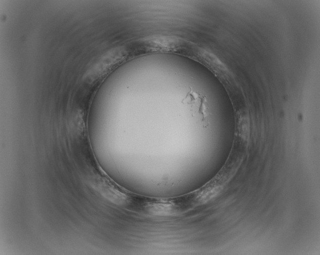 X0000068260318200604211051