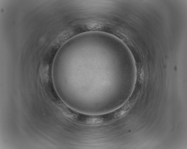 X0000068260319200604211051