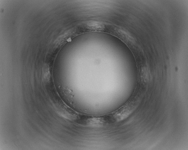 X0000068260320200604211051