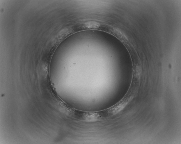 X0000068260321200604211051