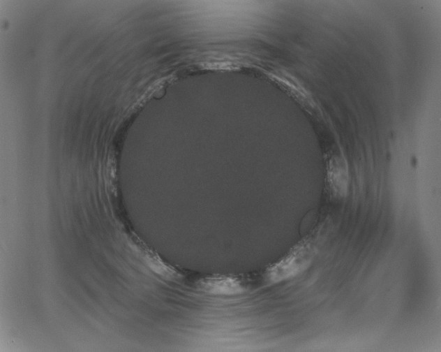 X0000068260322200604211051