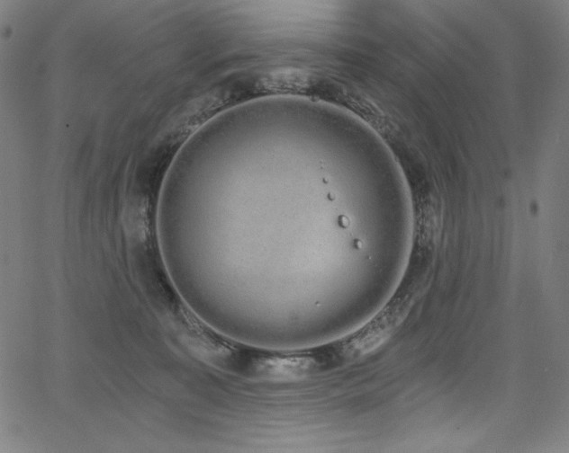 X0000068260323200604211051