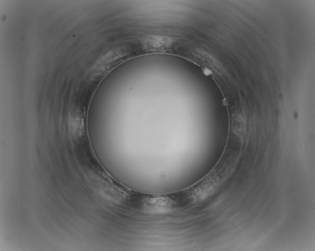 X0000068260324200604211051