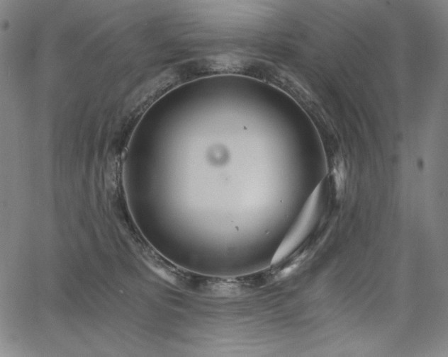 X0000068260325200604211051