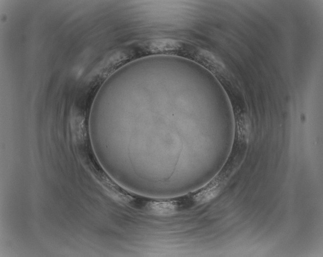 X0000068260327200604211051