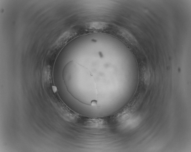 X0000068260328200604211051