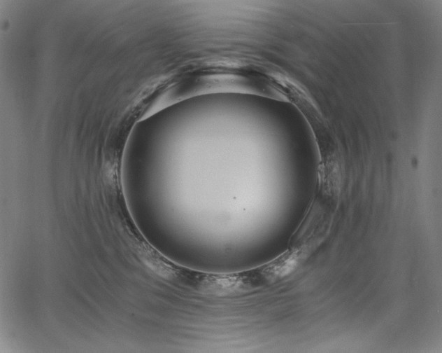 X0000068260329200604211051