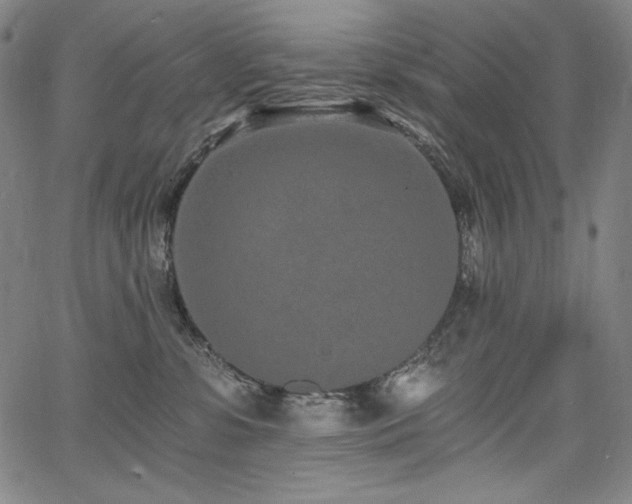 X0000068260331200604211051