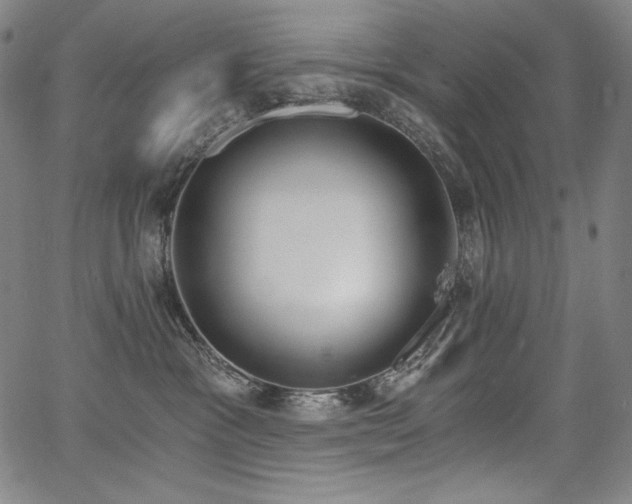 X0000068260333200604211051