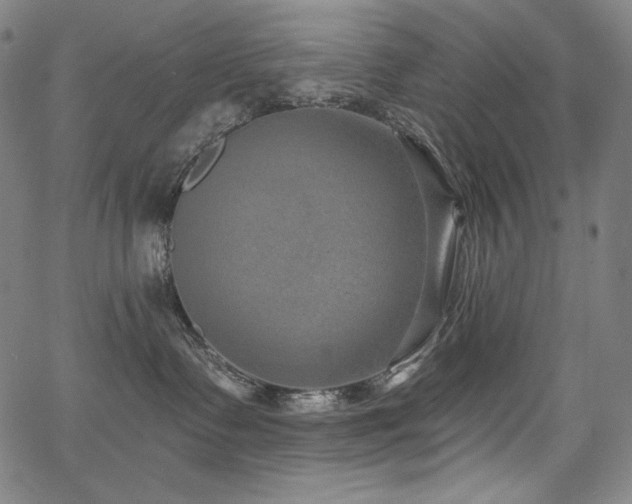 X0000068260335200604211051