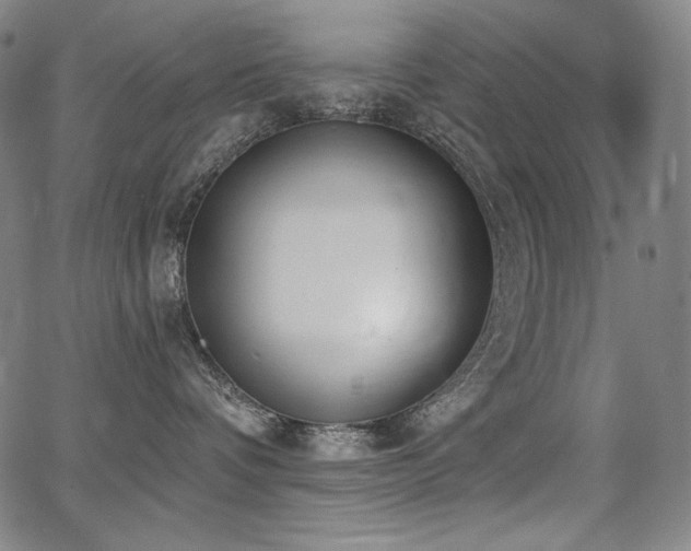 X0000068260336200604211051