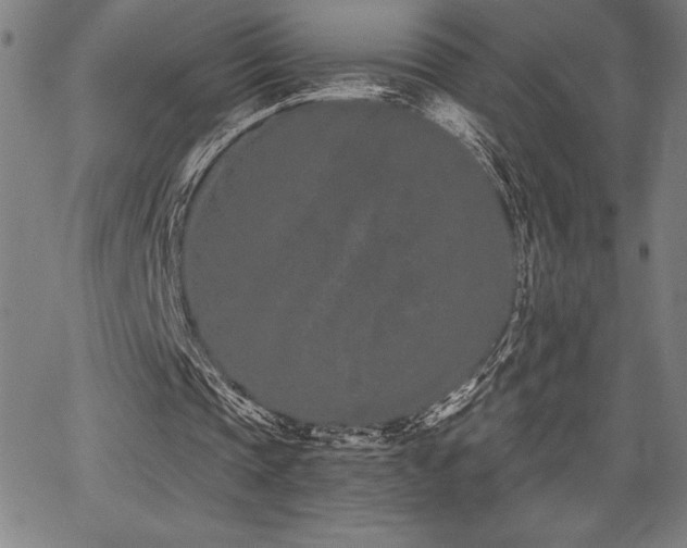 X0000068260337200604211050