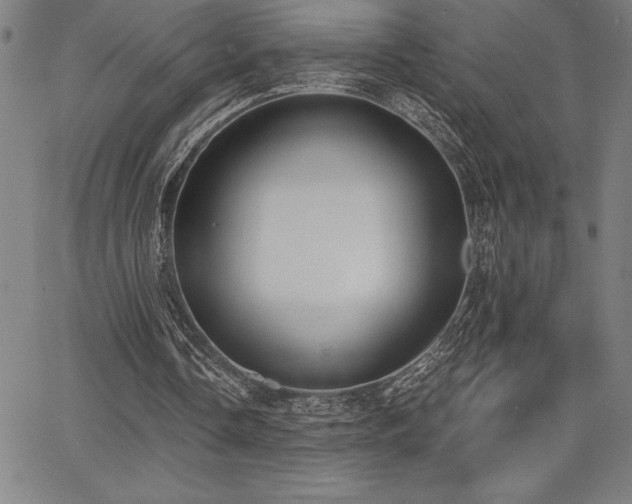 X0000068260338200604211050