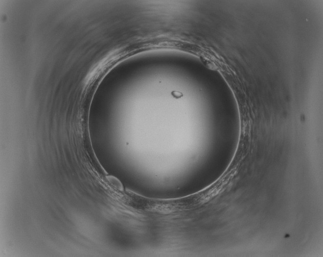 X0000068260341200604211050