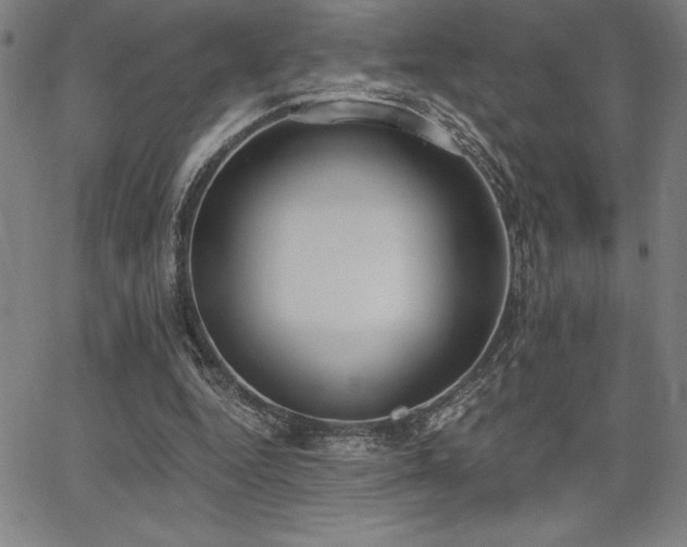 X0000068260344200604211050