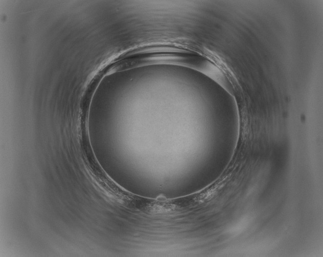 X0000068260346200604211050