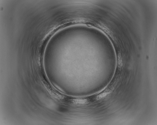 X0000068260347200604211050