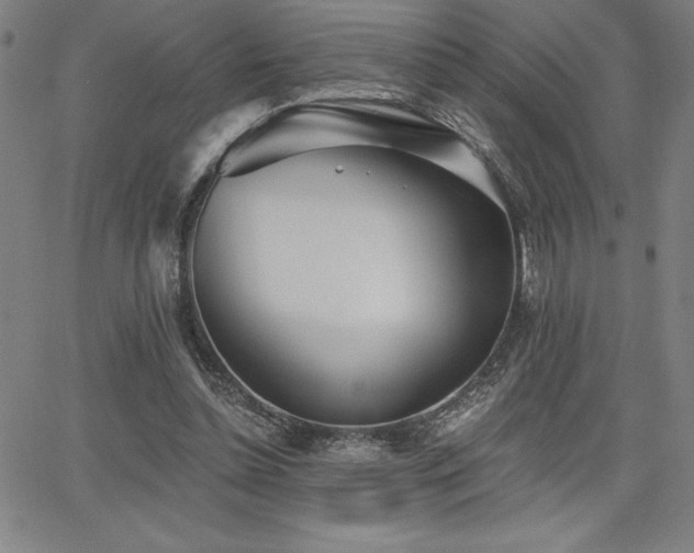 X0000068260348200604211050