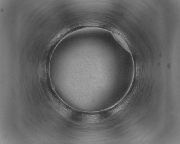 X0000068260349200604211050