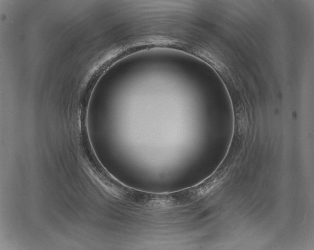 X0000068260350200604211050