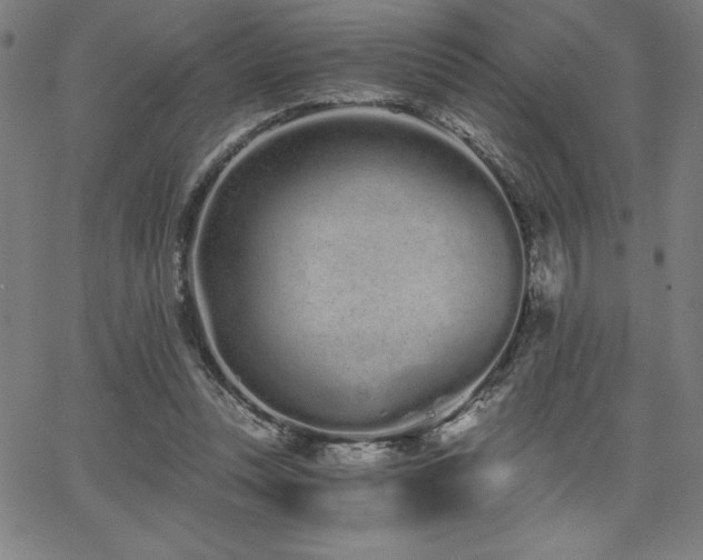 X0000068260351200604211050