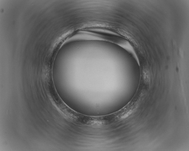 X0000068260352200604211050